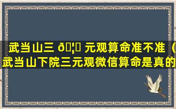 武当山三 🦆 元观算命准不准（武当山下院三元观微信算命是真的吗）